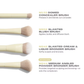 (Preorden) Morphe Buttery Blends 4-Piece Face Brush Set