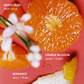 (Preorden) Glossier Body & Hair Fragrance Mist