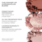 (Preorden) Morphe ChromaPlus 12-Pan Eyeshadow Palette